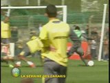 LA SEMAINE DES CANARIS DU 04 AVRIL 2009