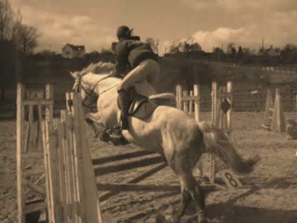 Ophéle et Pégase CSO