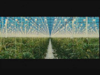 Nous resterons sur terre Bande annonce