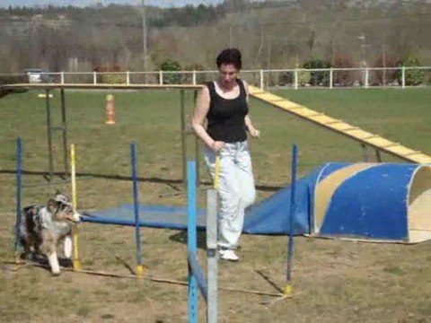 entrainement daika agility 06.04.09