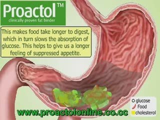 How To Lose Fat Without Doing Anything