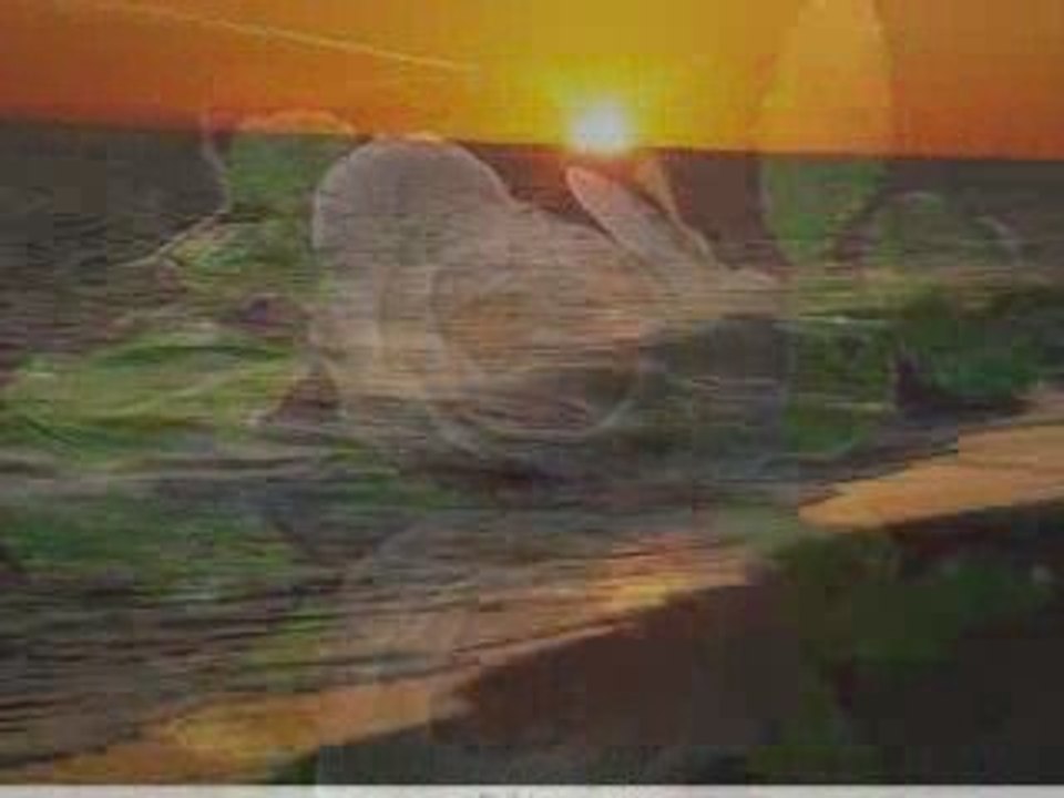 Together -Giovanni Marradi