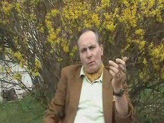 Jm Vernochet - FMI et gouvernance mondiale