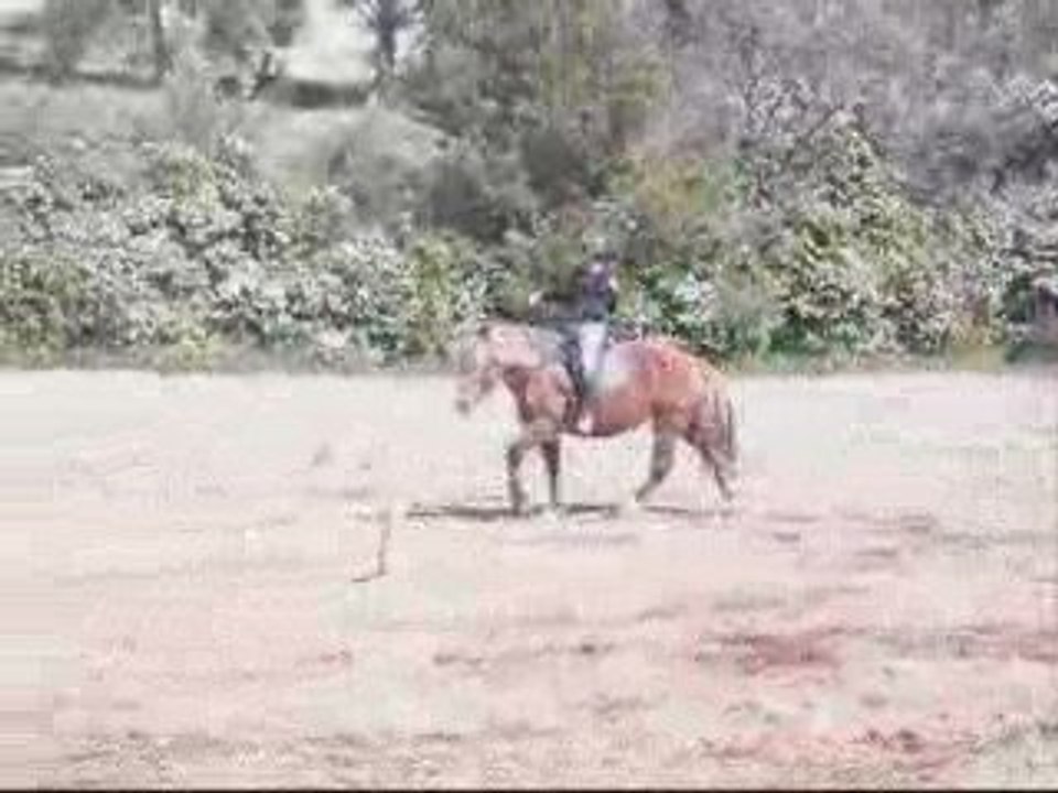 Cross 2