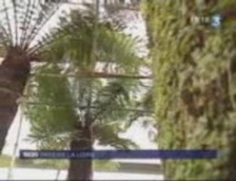 Ripaud pépinières à Cheffois (Vendée) Floralies de Nantes