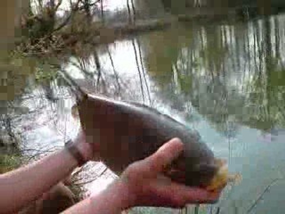 moi remise a l eau tertre