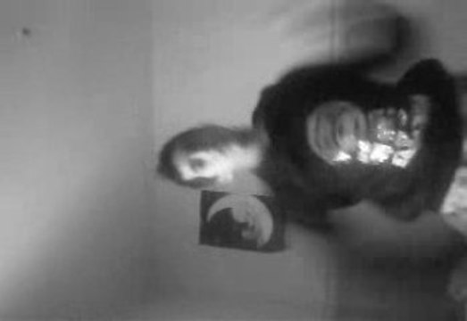 Sistim Dance Ggeneration Hardstyle Training Vertifight