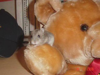 Tu as ta place au paradis <3