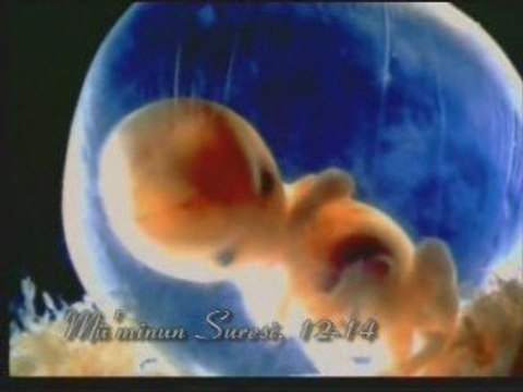 Kuran-ı Kerim Meali 2 8/15 kuranfihristi.net