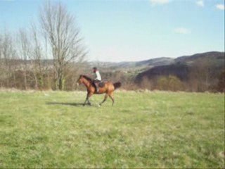 Trotingue et galops