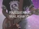 GARY MOORE-PARISIENNE WALKWAYS guitare cover