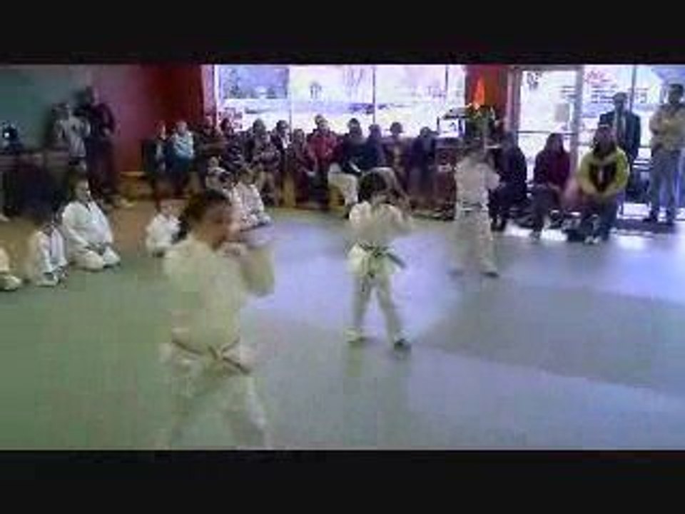 Martial Arts in Sylvania and Toledo 4-3-09 Test