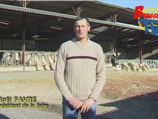 60 ème FOIRE DE ROMENAY 2009 - Concours de betail gras