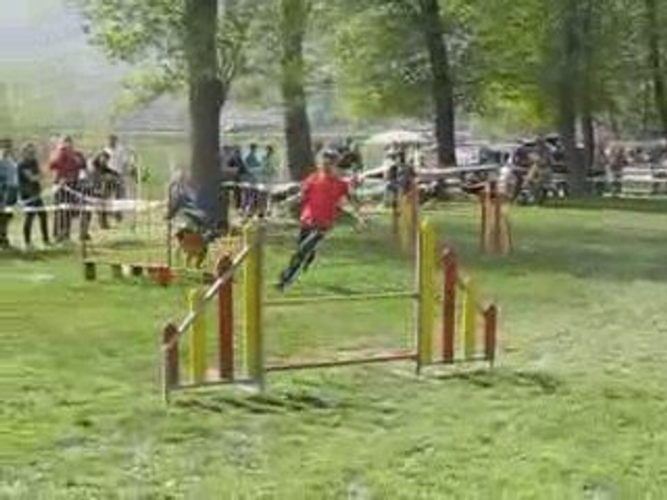 Malinois jumping agility rochemaure