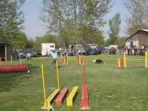V'Haïdouk jumping agility rochemaure
