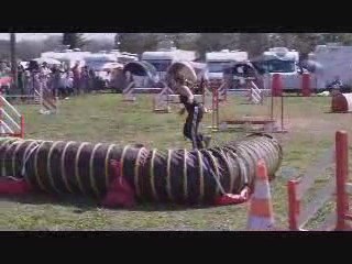 Béziers Chamane Jumping