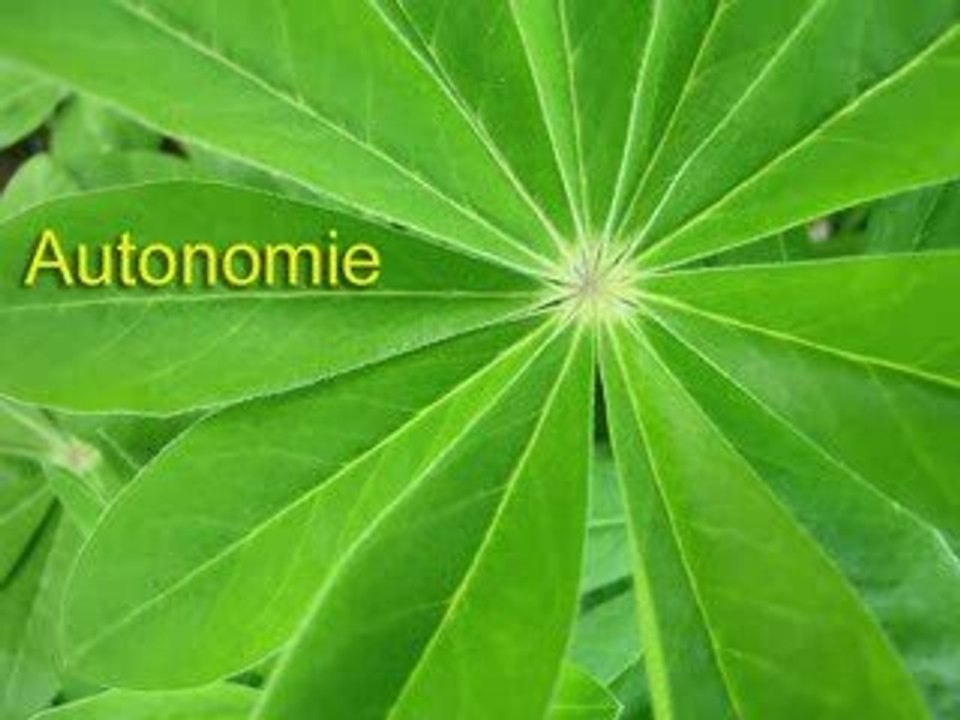 Les jardins interdits