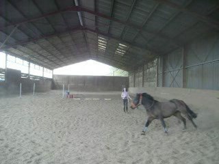 travail en longe partie 2