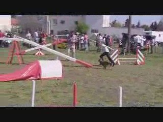 Béziers Underlay 2ème degré