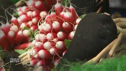 Coeur de Métier : Les petits magasins de l'alimentaire