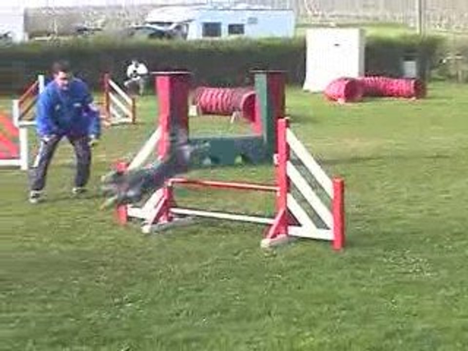 Blueberry Open Agility Villefranche 05/04/2009