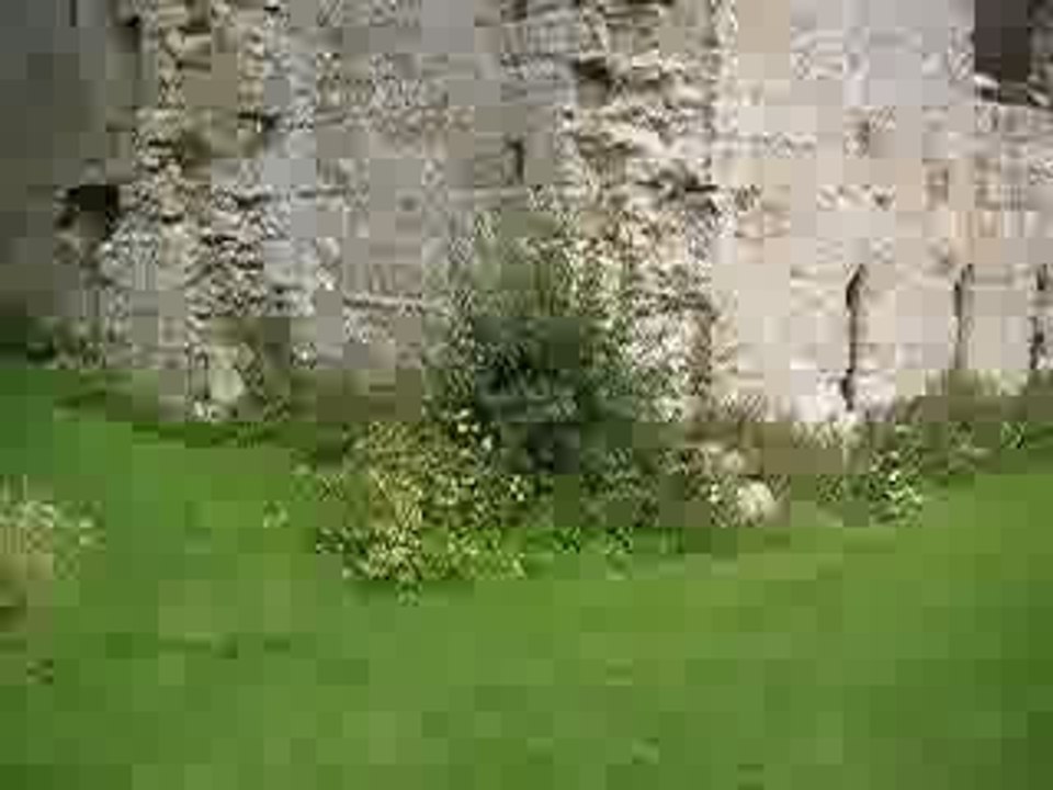 film raté