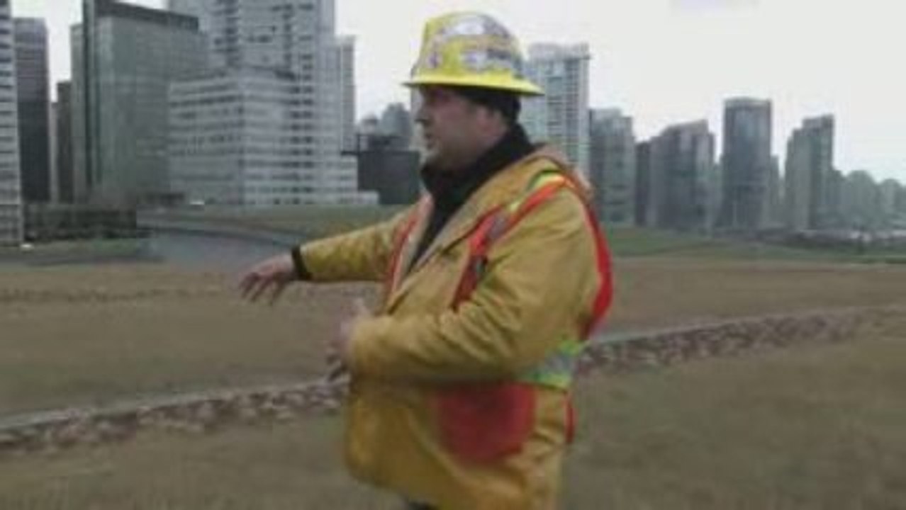 Living Roof: Vancouver Convention Centre - BC, Canada