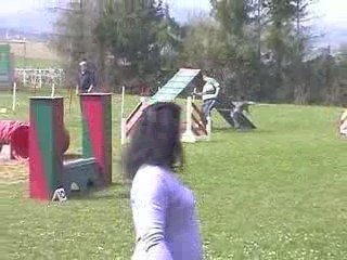 Blueberry Degre Agility Villefranche 05/04/2009