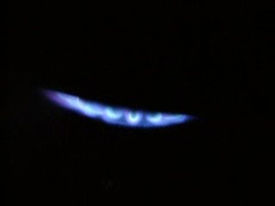 Birds sing eggs are silent