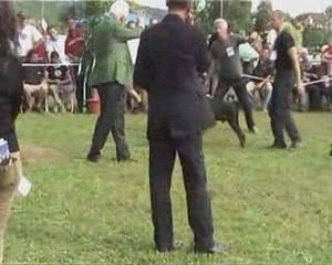 Skay Dallas de Lea Modena OG Sud 2004 Winner