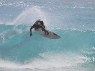 Boosy's Surf School in Barbados