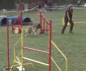 Jump vick