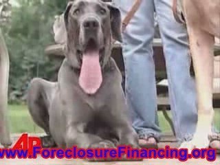 Shelters Filling Up As Foreclosures Rise
