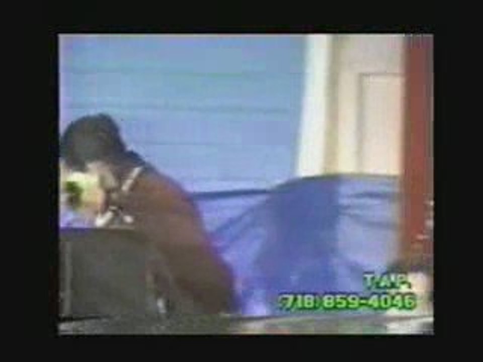 Debate on the Orgins of Western Civilization Part 10