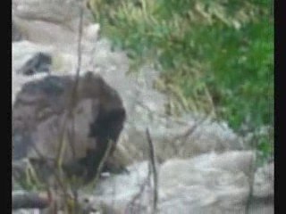 Jean-Luc Cheverry Requiem