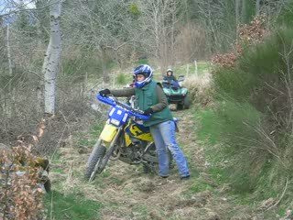 MVI_3452