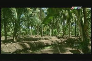 Film4vn.us-Tinhan-08.00