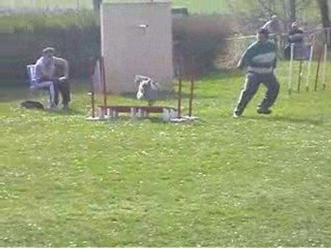 Blueberry GPF Agility Villefranche 05/04/2009