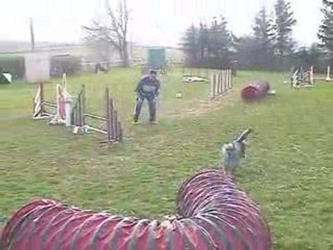 Blueberry Jumping Agility Villefranche 05/04/2009