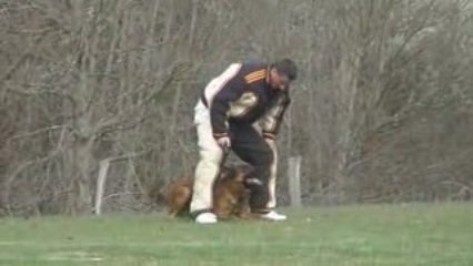 Sélectif Mardié 2009 4