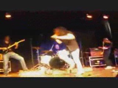 Steeve Estatof - Bienvenue dans la jungle