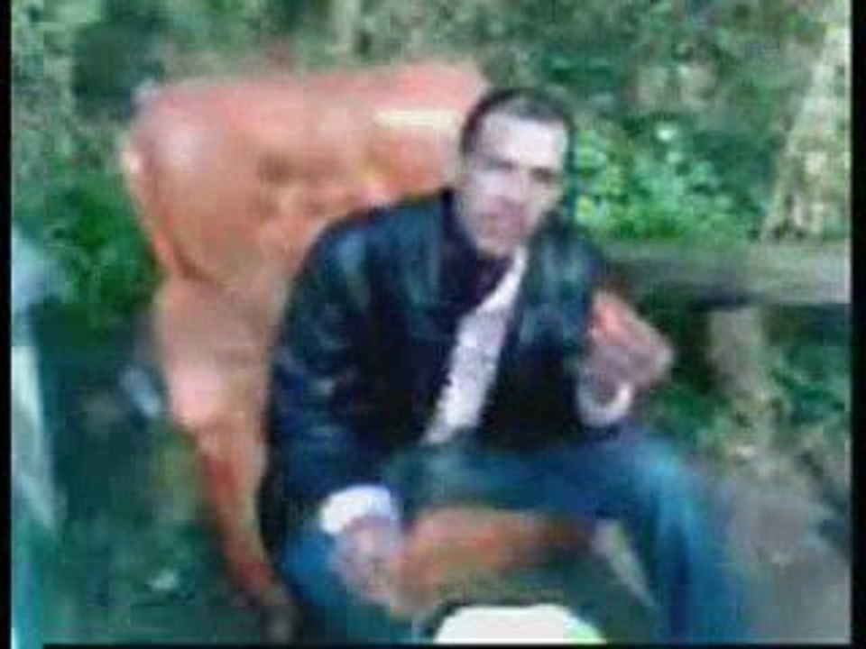 "ELLE EST BELLE L'EQUIPE"(l'instant Djilali)