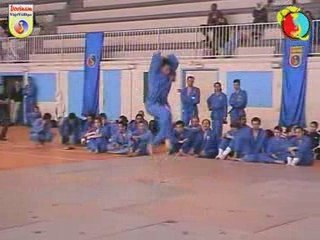 Coupe IDF Vovinam - Long Ho Quyen par Viet de Pontault