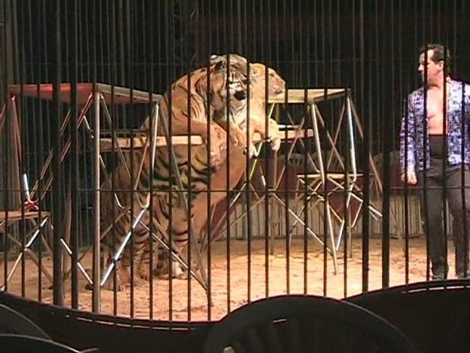 le cirque franco-italien au Cateau