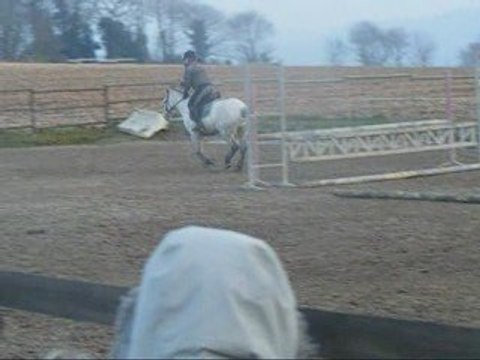 Séance obstacle Ecurie TEM