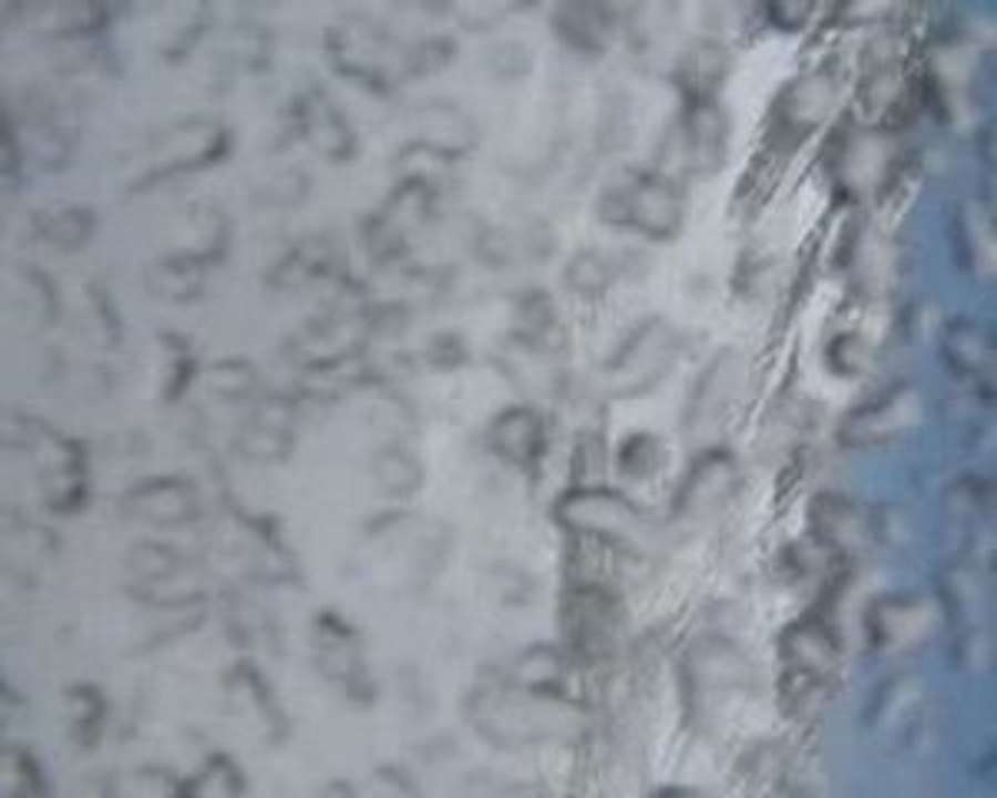 Snowboarding Black Pist To Crash