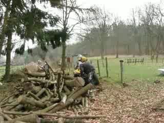 Indianaraid Popeye au tas de bois