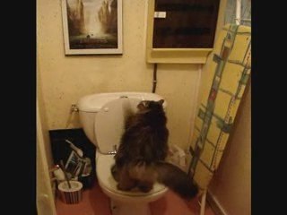 Gribouille......!!!!