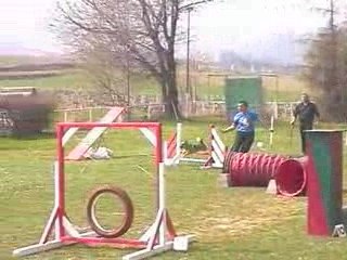 Boom Degré Agility Villefranche 05/04/2009