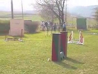 Boom GPF Agility Villefranche 05/04/2009